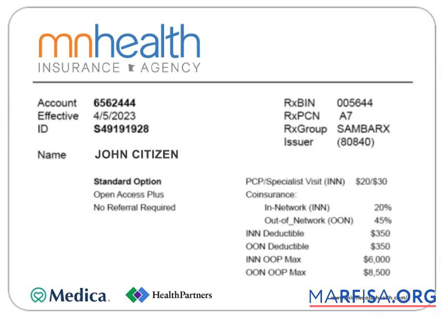 Printable Minnesota health insurance card sample